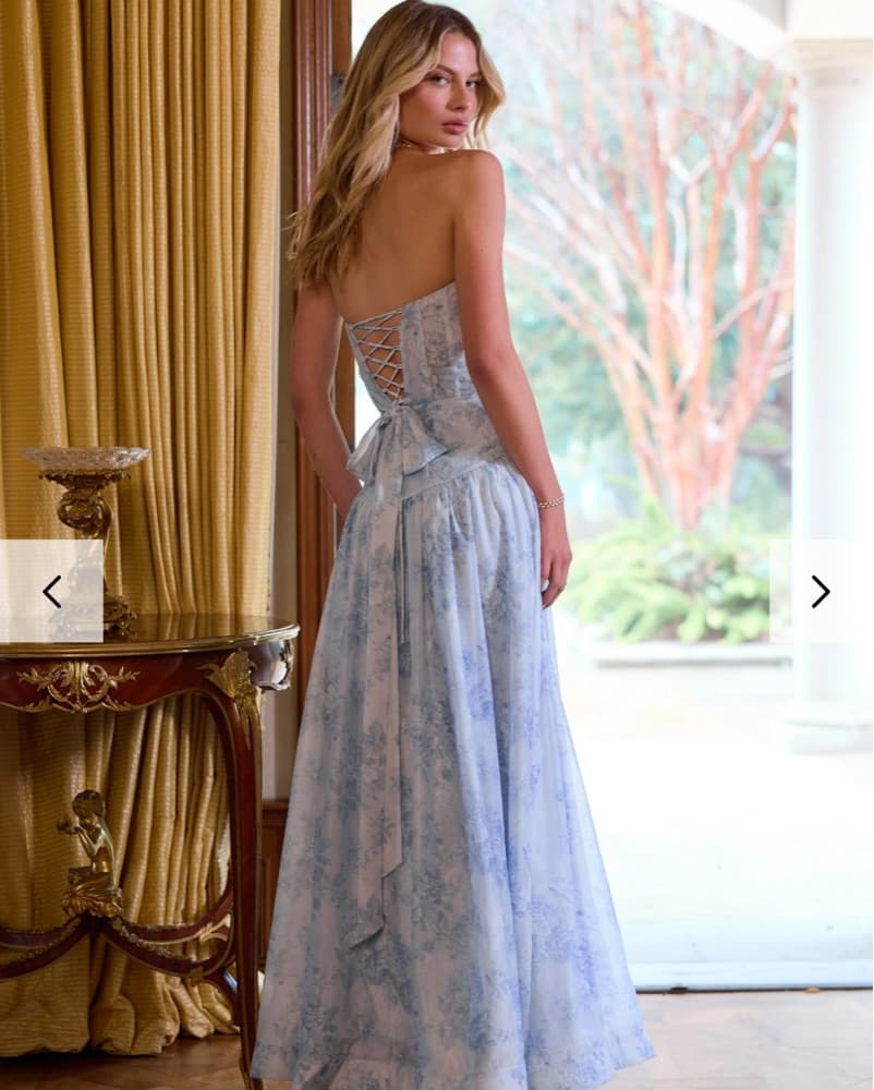 V Chapman Rosamund Dress in Blue - Image 3