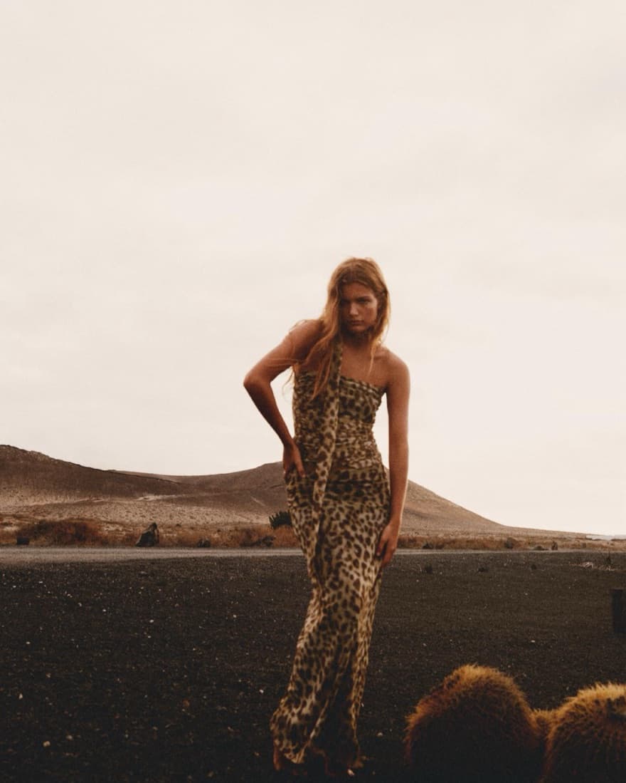 Zara cheetah Tulle Scarf Top - Image 1