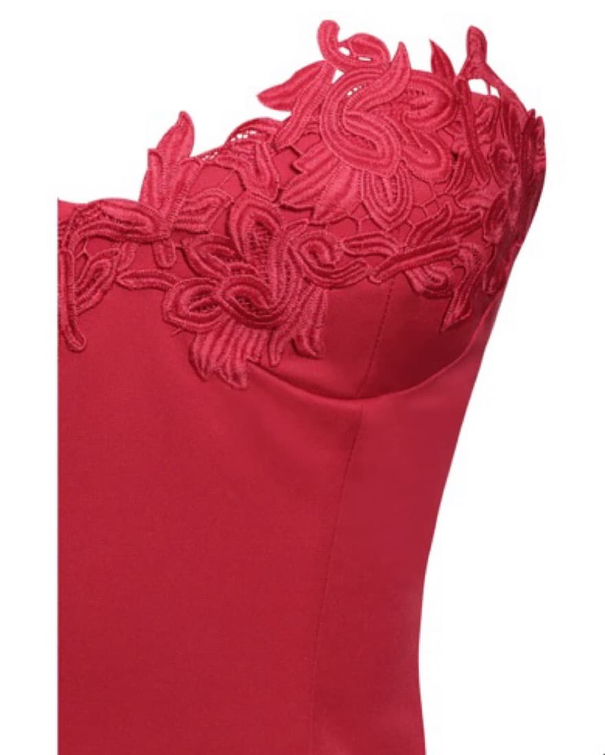 Miss circle Red Lace Corset Puffy Dress - Image 6