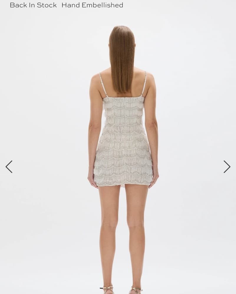 $1800 Rachel Gilbert Sadie Mini Dress - Image 5
