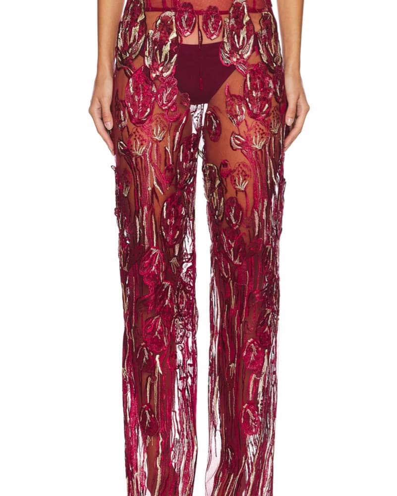 Red Sheer Pants - Image 1