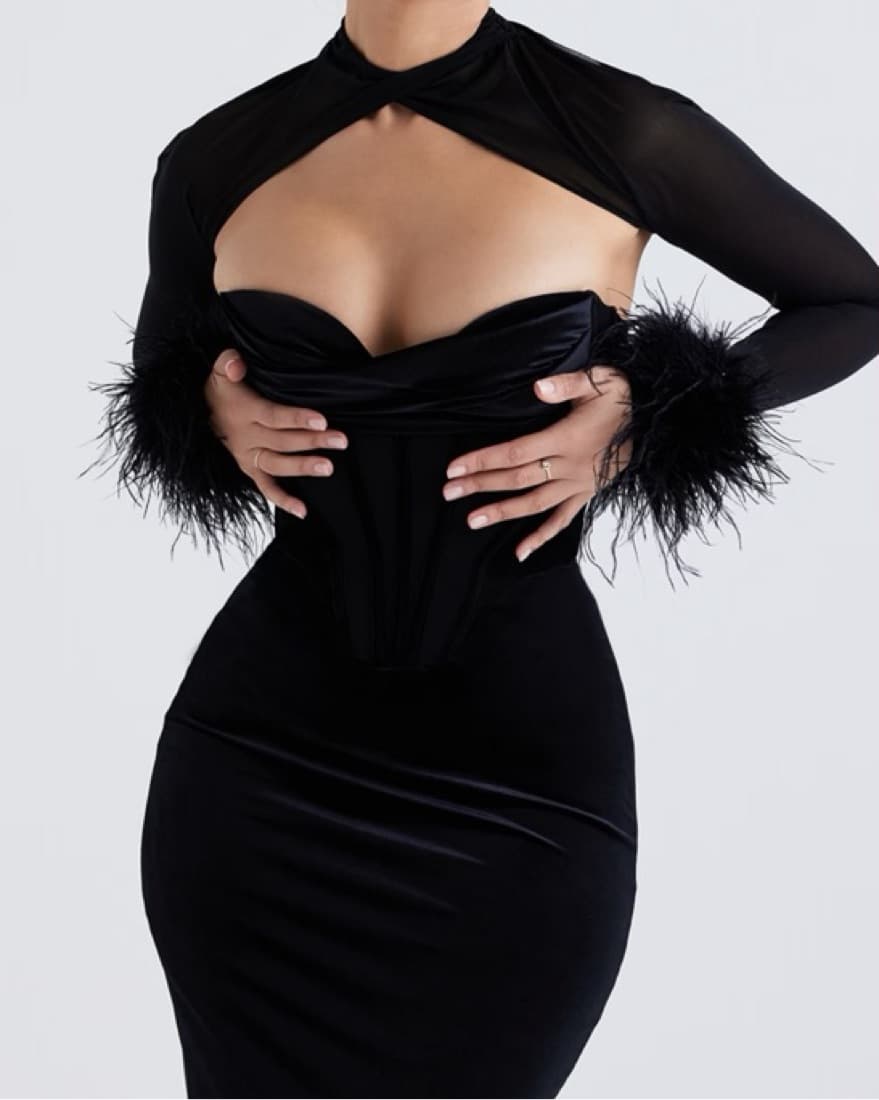 House of Cb Thalia Velvet corset dress - Image 3