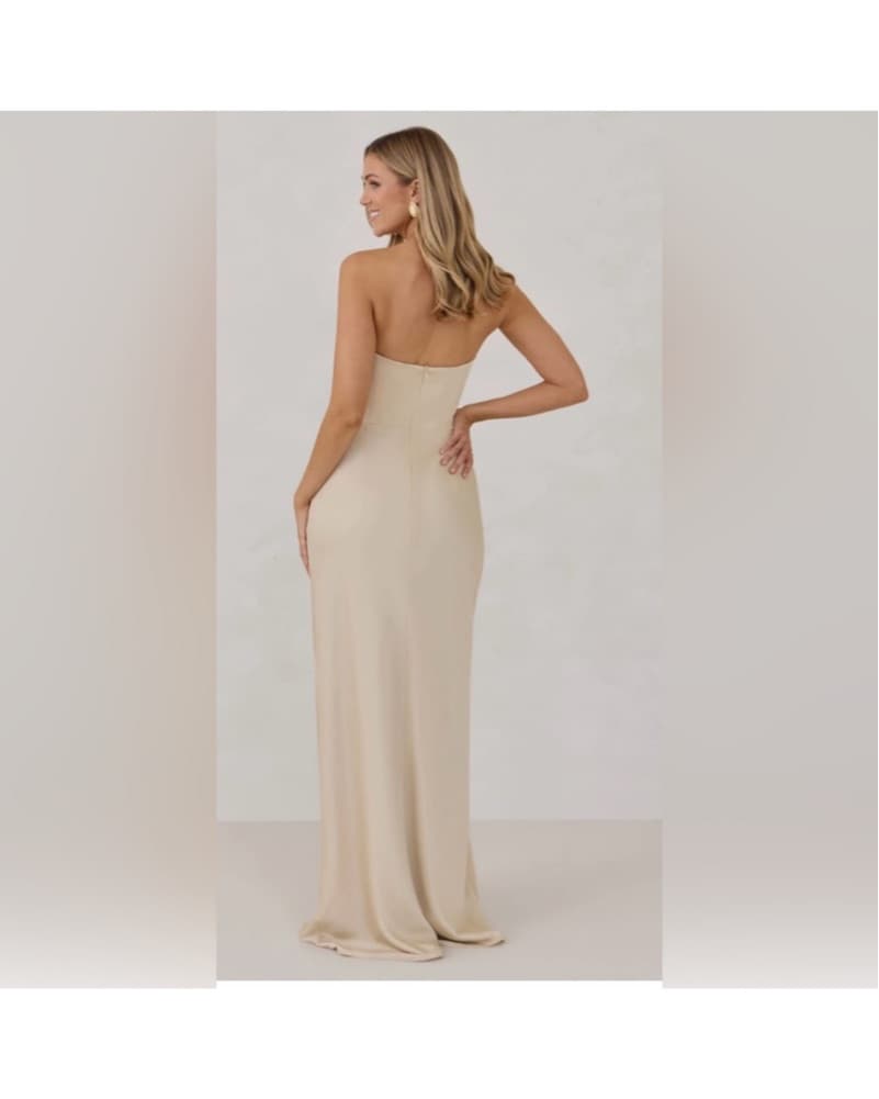 Park & Fifth Paloma Dress - Champagne  - Image 3