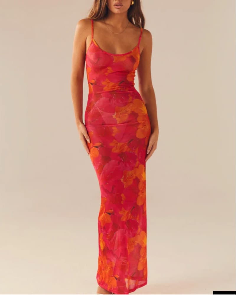 Peppermayo Mesh Maxi Dress - Image 1