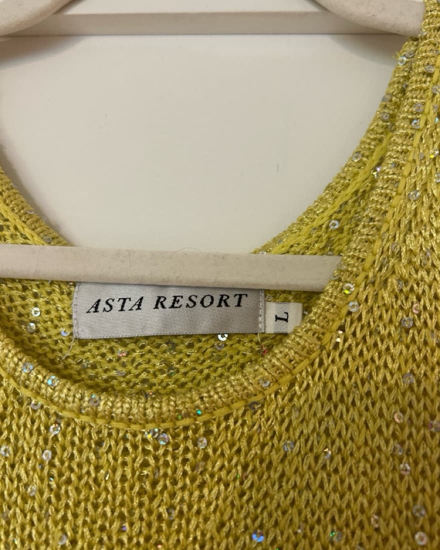 Asta resort Sequin Mesh Dress - Image 3