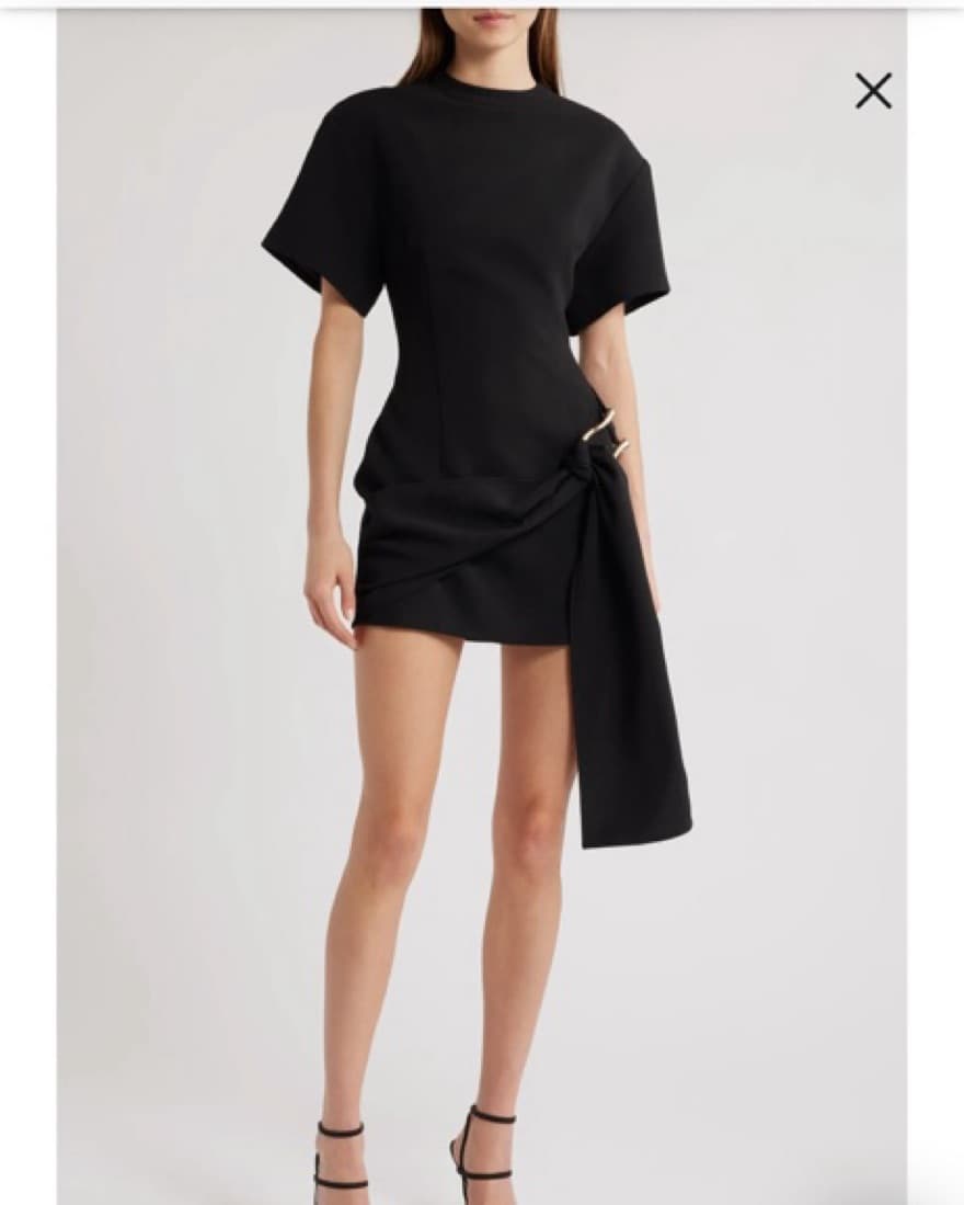 Lioness Martini Dress - Image 2