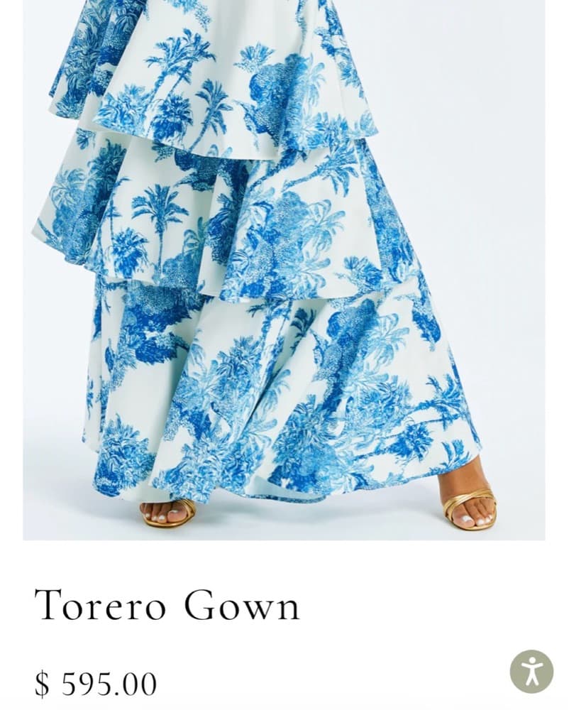 MESTIZA Torero Floral Gown - Image 4