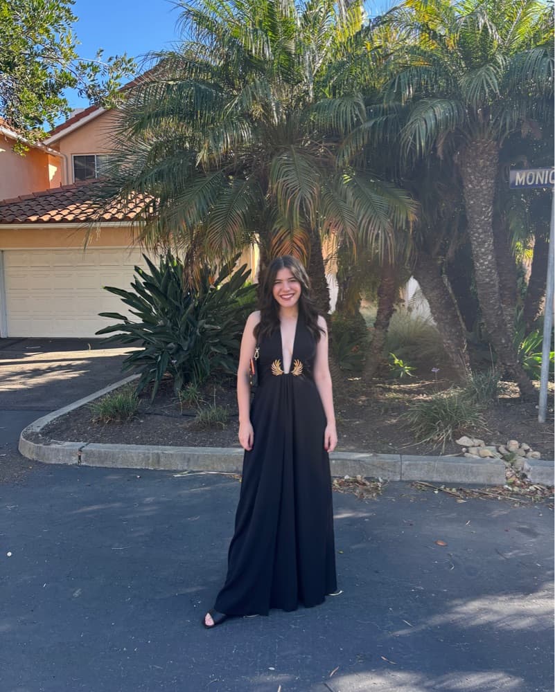 Ramy Brook Jenie plunging gown - Image 5