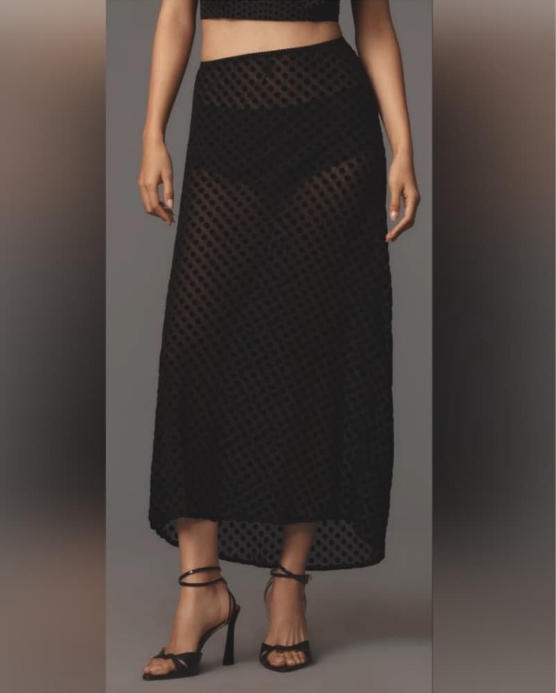 Anthropologie Sheer Midi Slip Skirt - Image 1
