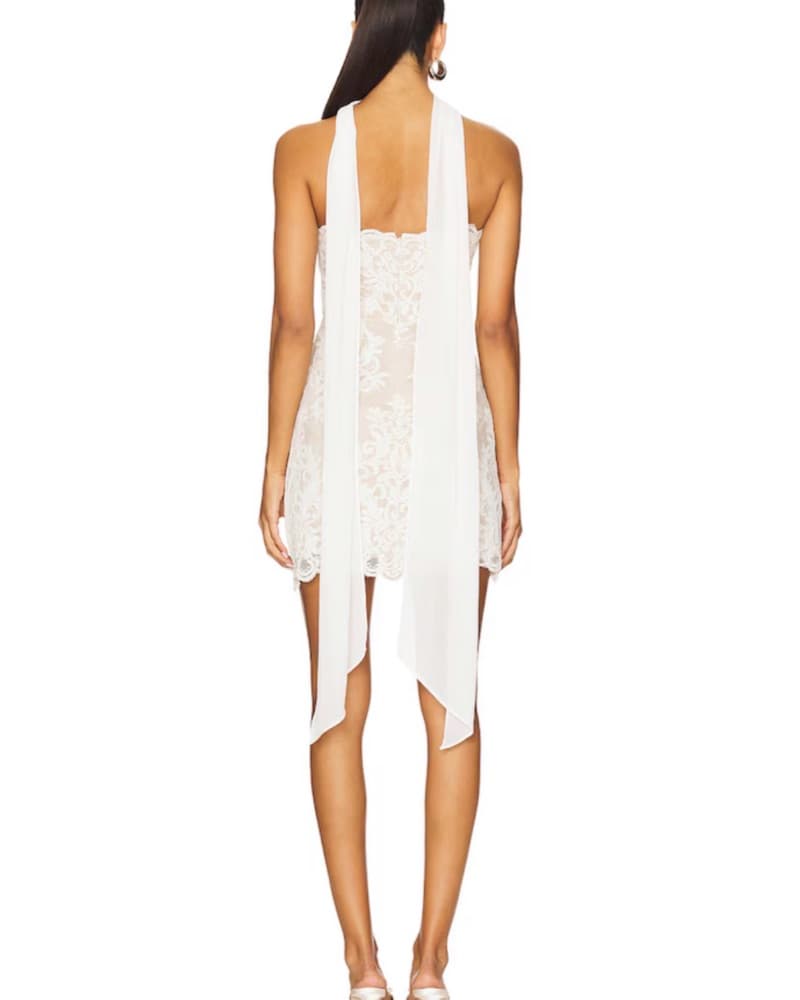 Revolve Lace Mini Dress With Neckpeice  - Image 3