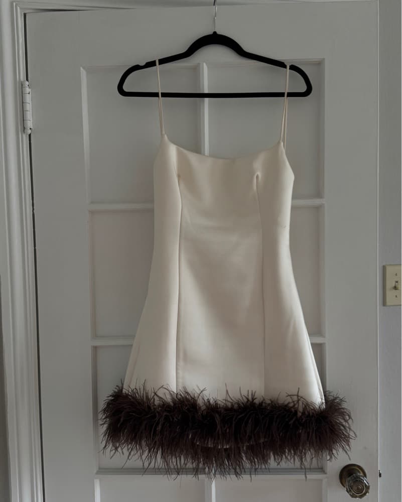 Ostrich Feather Mini Dress  - Image 1