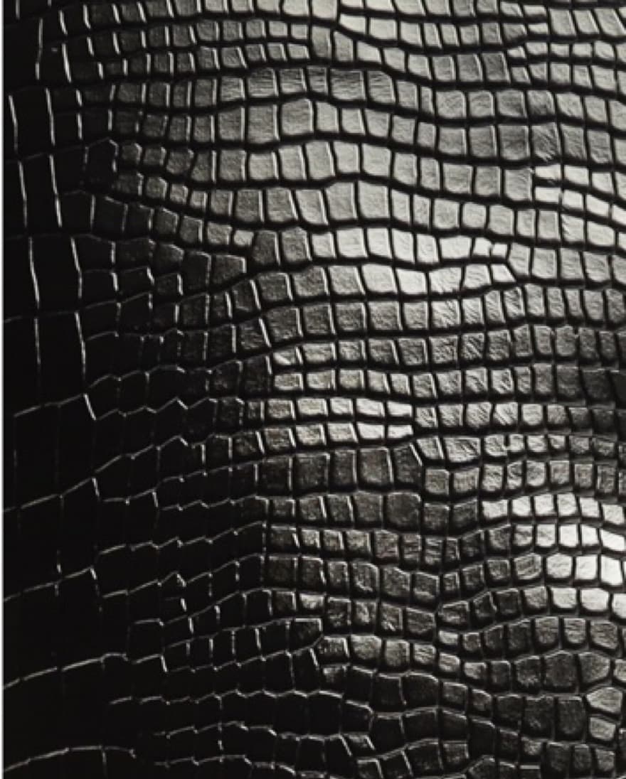 Schutz Maryana Block Boot - Image 3