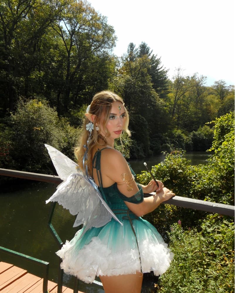 Fairy Halloween Costume  - Image 1