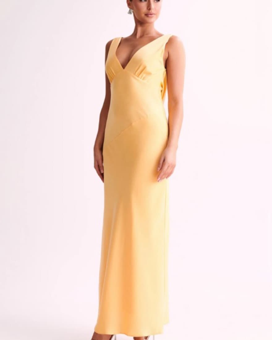 Yellow Meshki Dress - Image 1