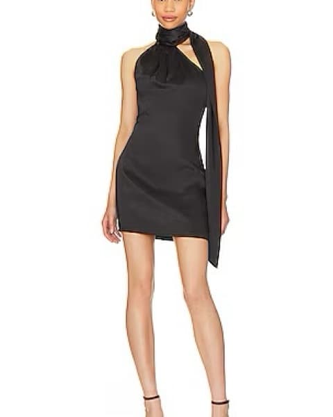 Revolve Black Dress - Image 1