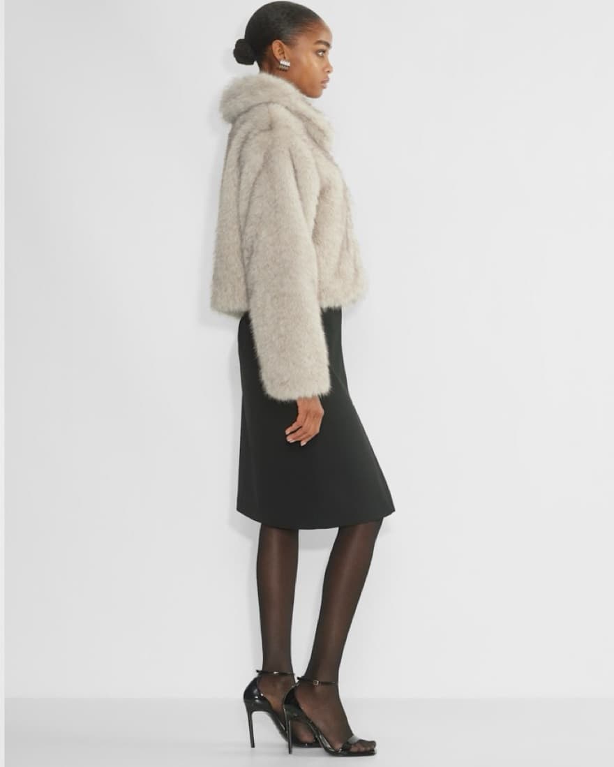 Aritzia Fur Cropped Jacket - Image 4