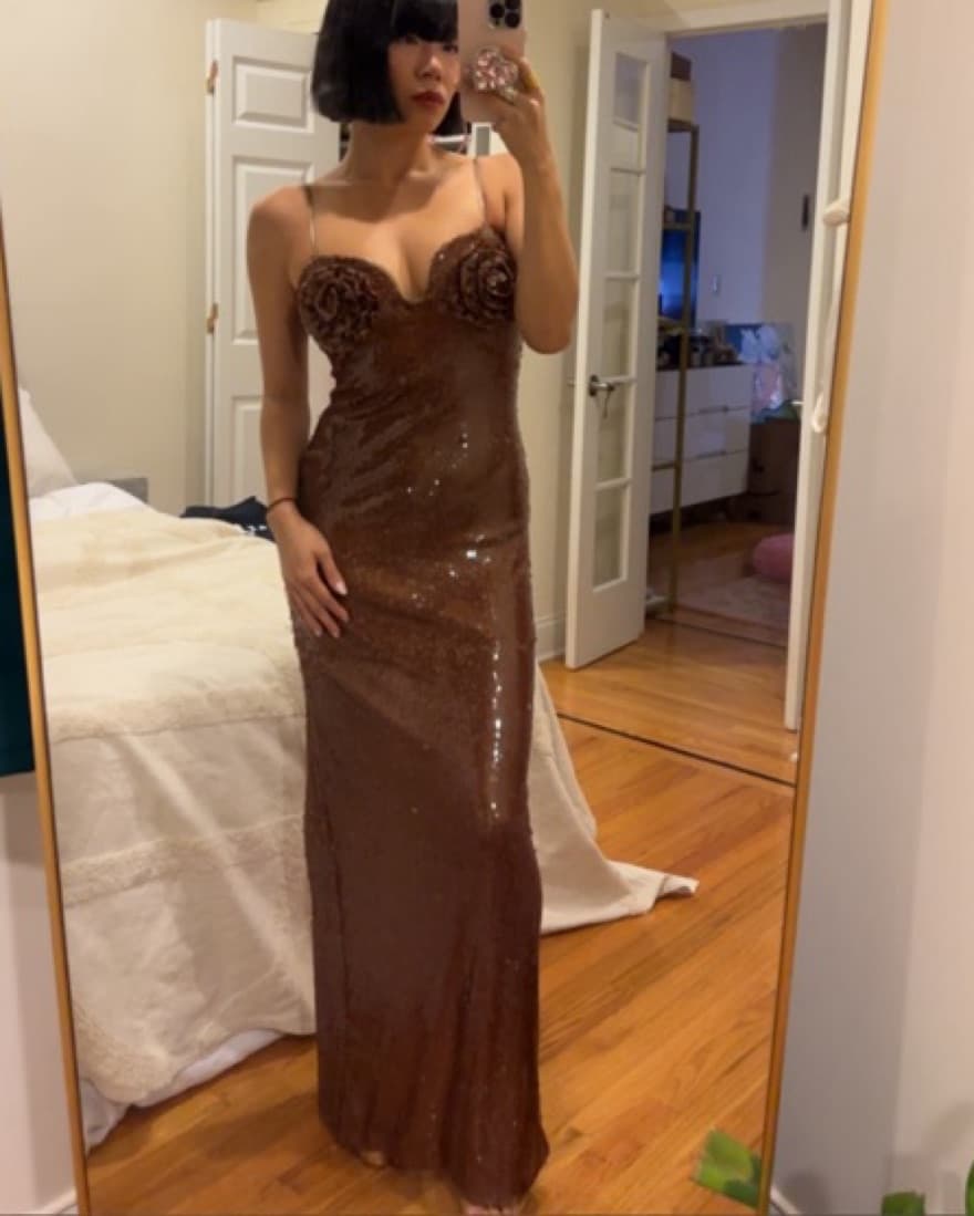 Mewmews Brown Sequin Gown - Image 3