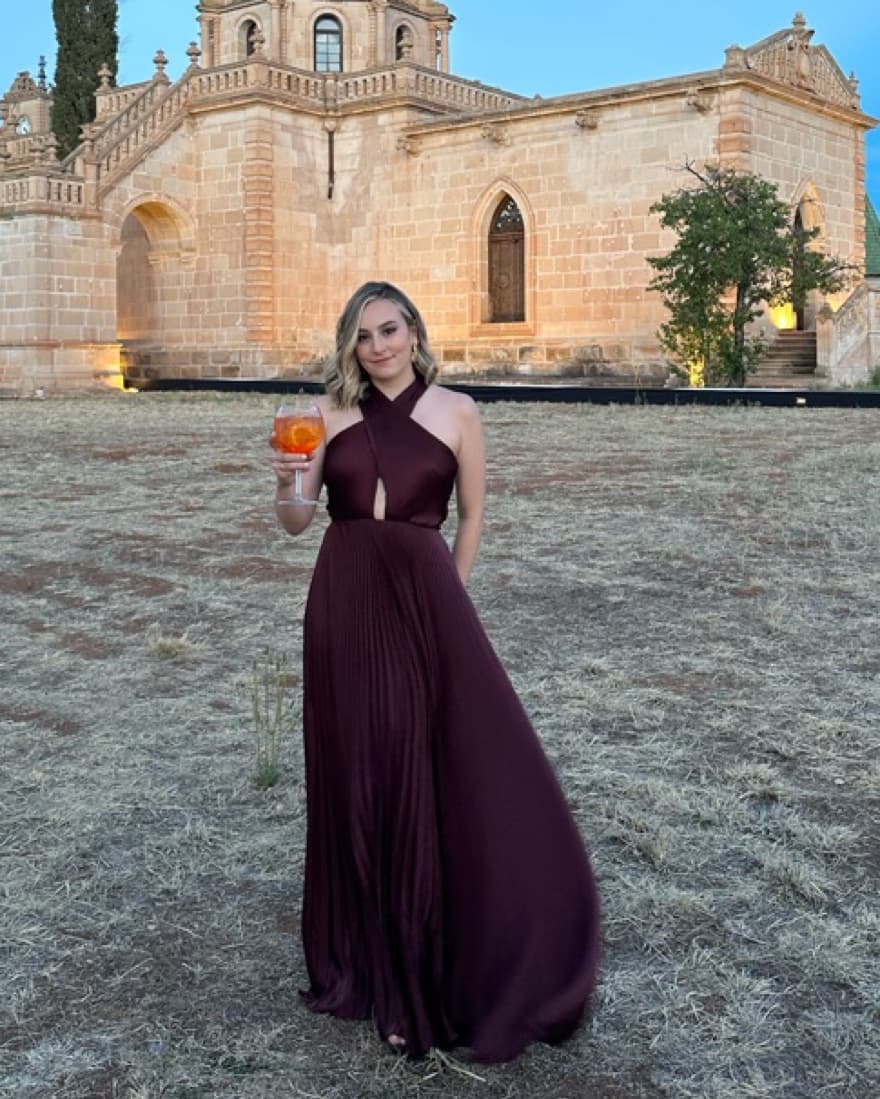 Pleated Gown - ALC - Image 1