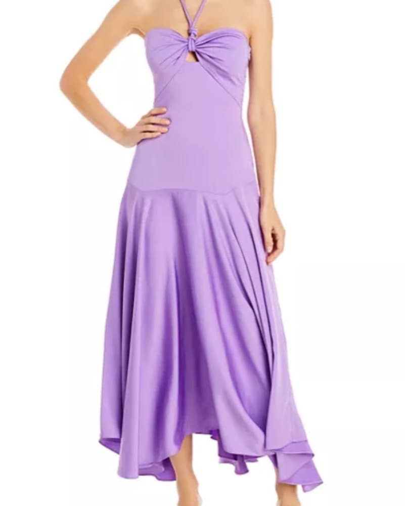 Anita Drop Waist Dress In Amythst  - Image 4