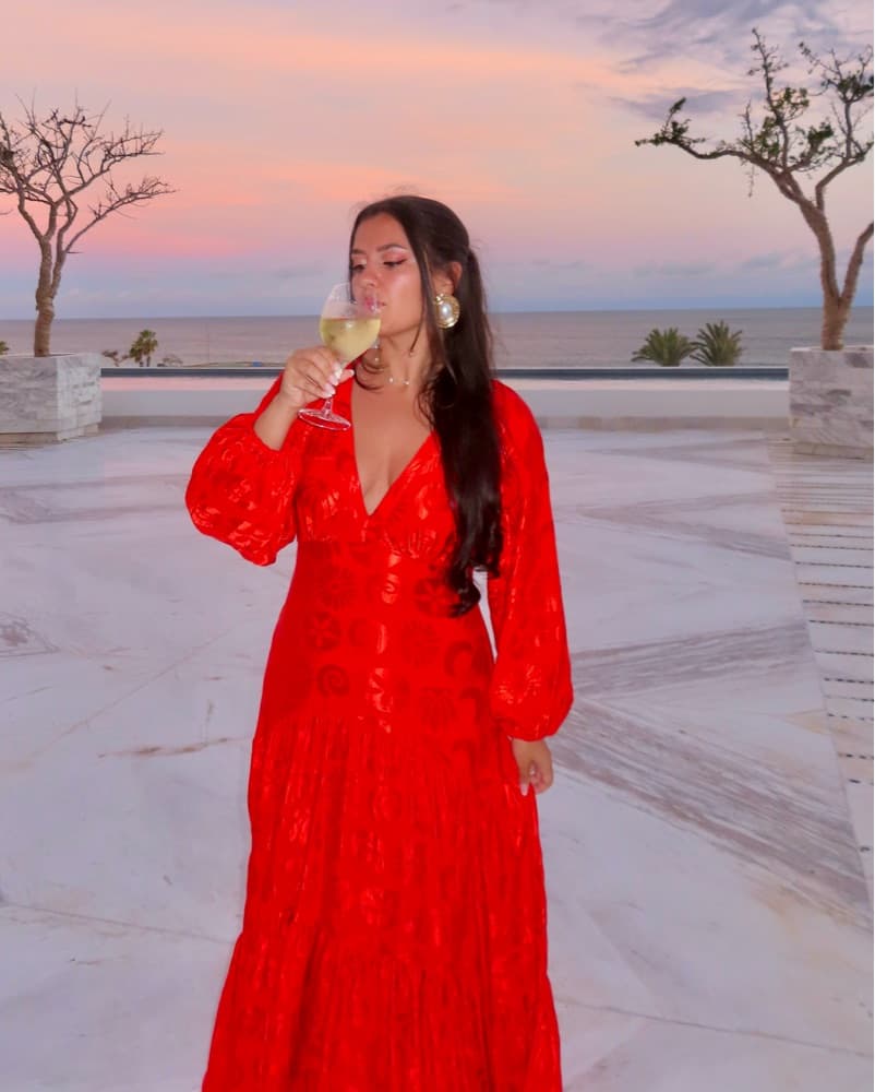 Farm Rio Long-Sleeve Jacquard Maxi Dress - Image 3