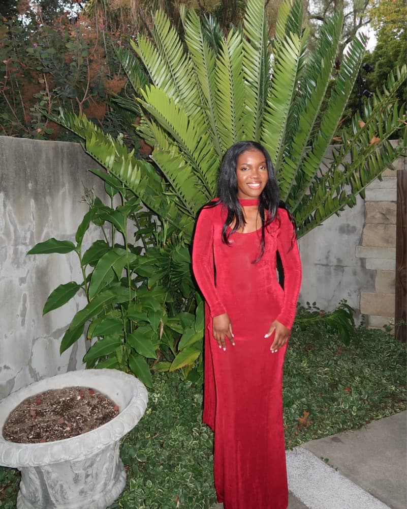 Red seroya Dress - Image 2