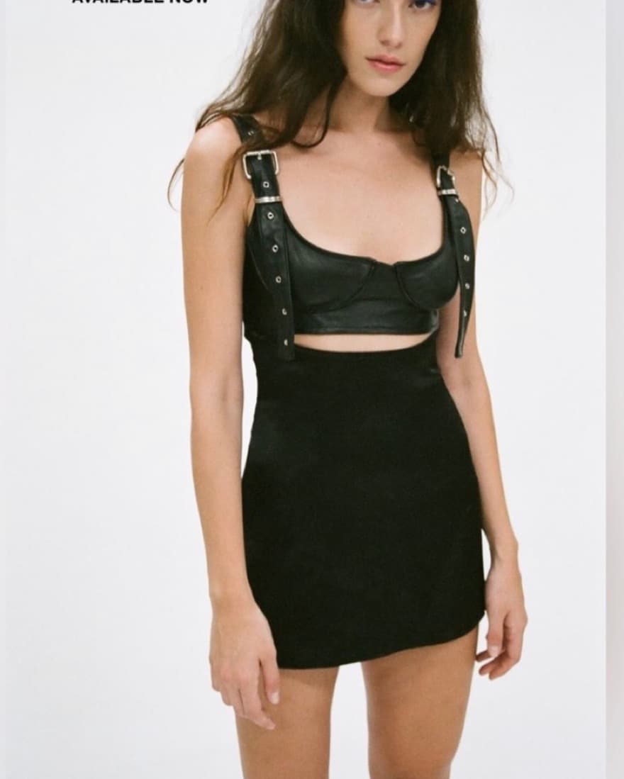 Danielle Guizio Real Leather Dress - Image 1