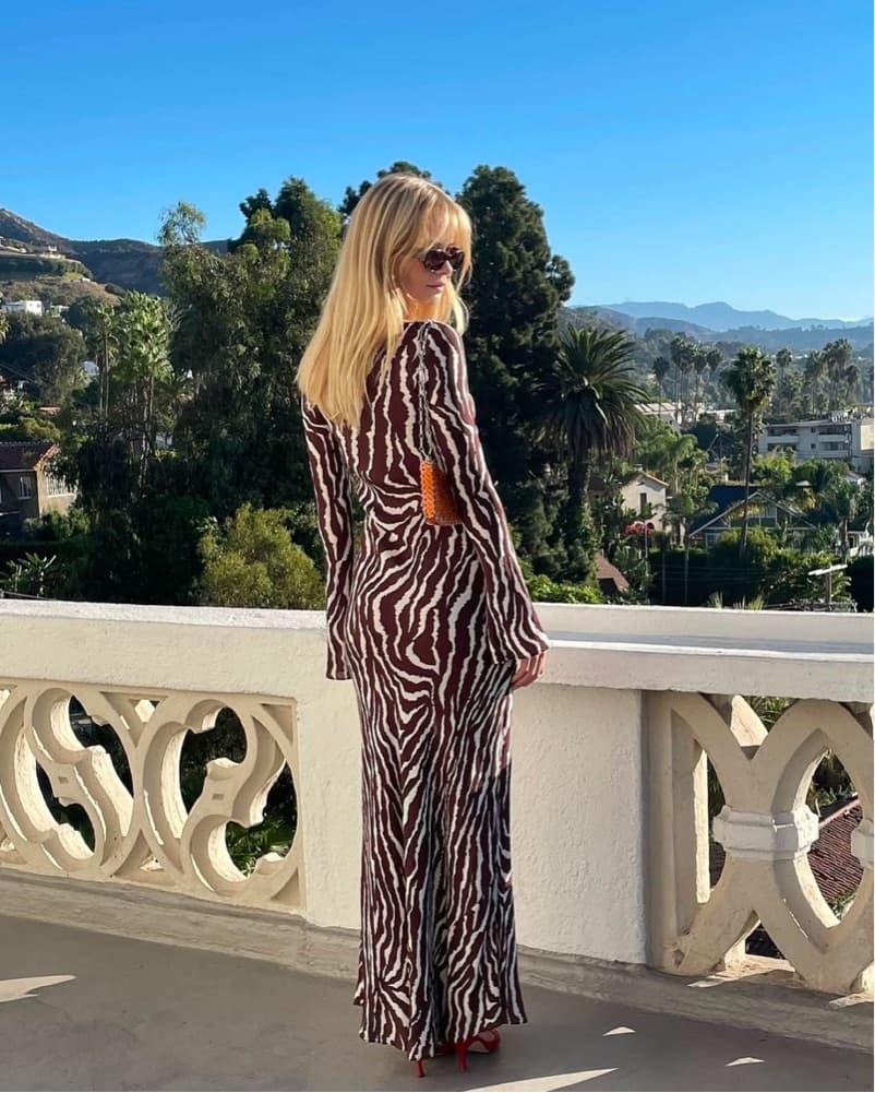 Realisation Par Zebra Print Dress Gia - Image 2