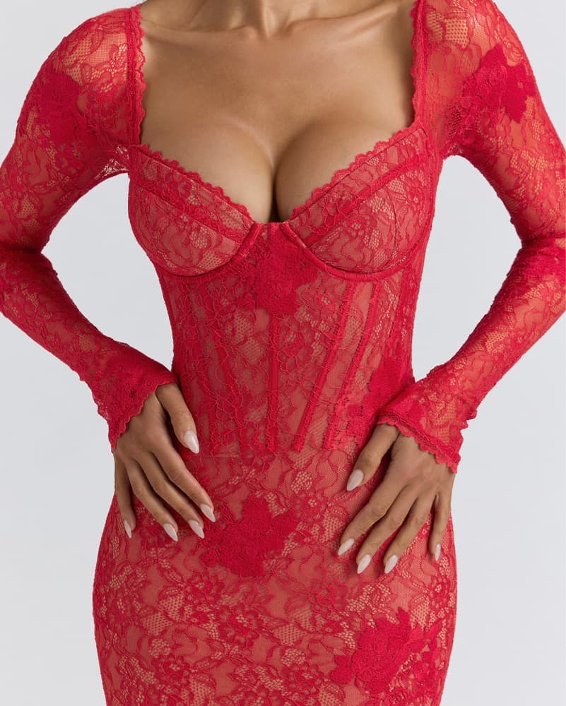 Lucienne Red Lace Embroidered Mini Dress - Image 3