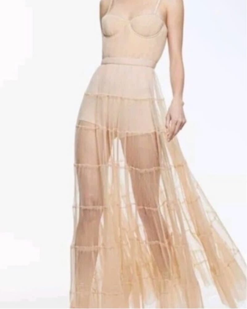Alice + Olivia Sheer Nude Tulle Dress - Image 4