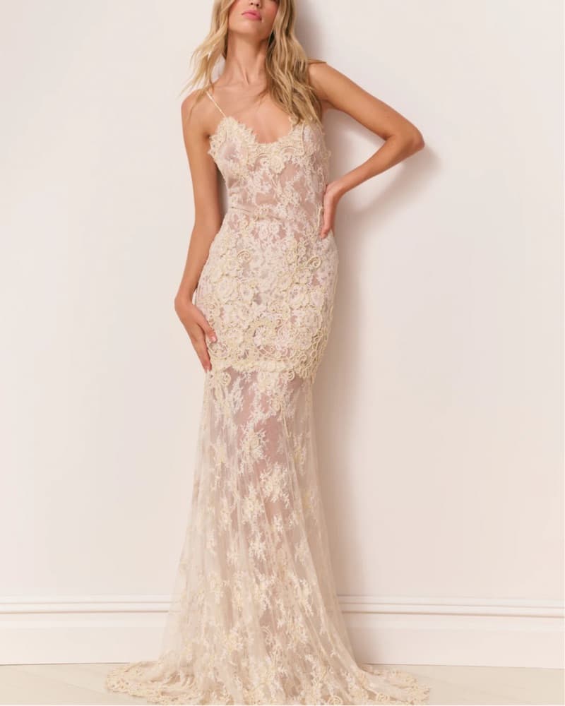 Love Shavk Fancy Lace Pearl Dress  - Image 1
