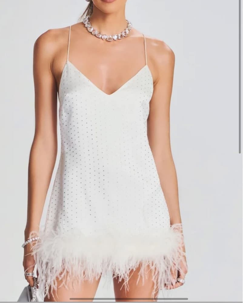 Retrofete Susana Feather Dress - Image 1