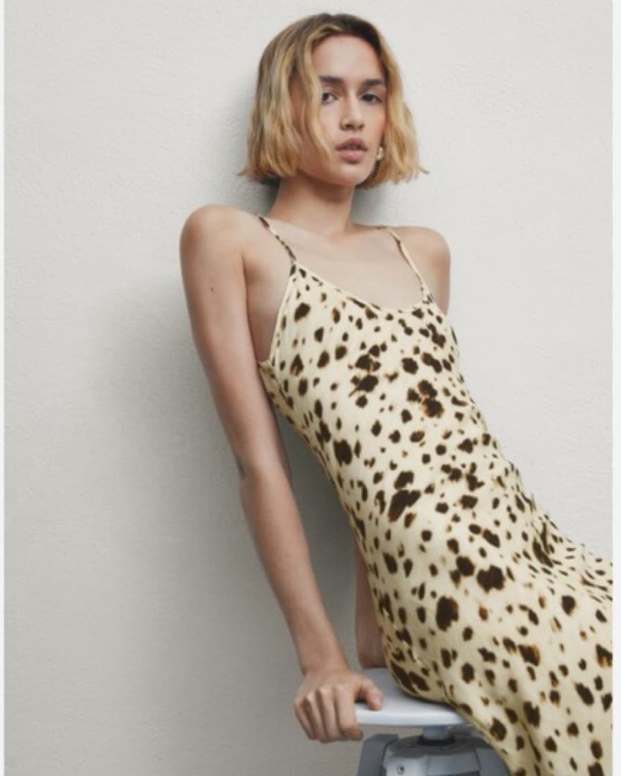 Massimo Dutti Long Printed Dress - Image 5