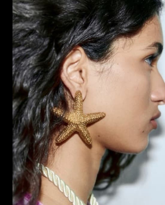 Starfish Earrings - Image 1