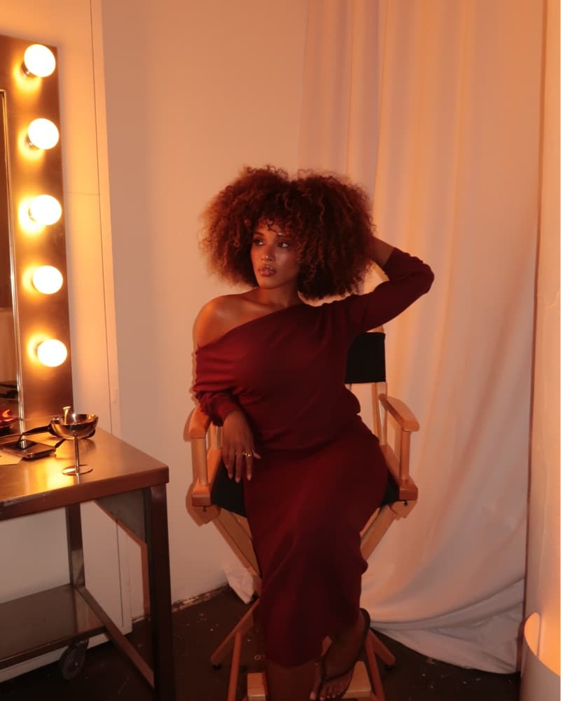 Babaton aritiza Dress - Image 4