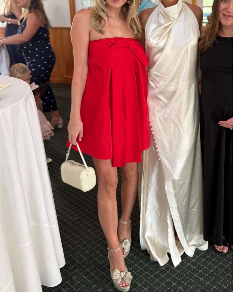 Bernadette Mini Dress  - Image 3
