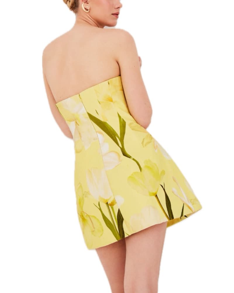 Cara Cara Ines Mini Dress - Image 4