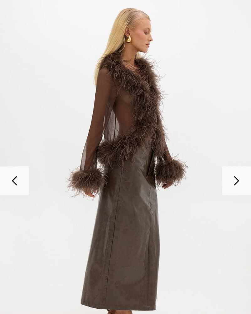 Bubish Brown Gigi Sheer Feather Blouse - Image 5
