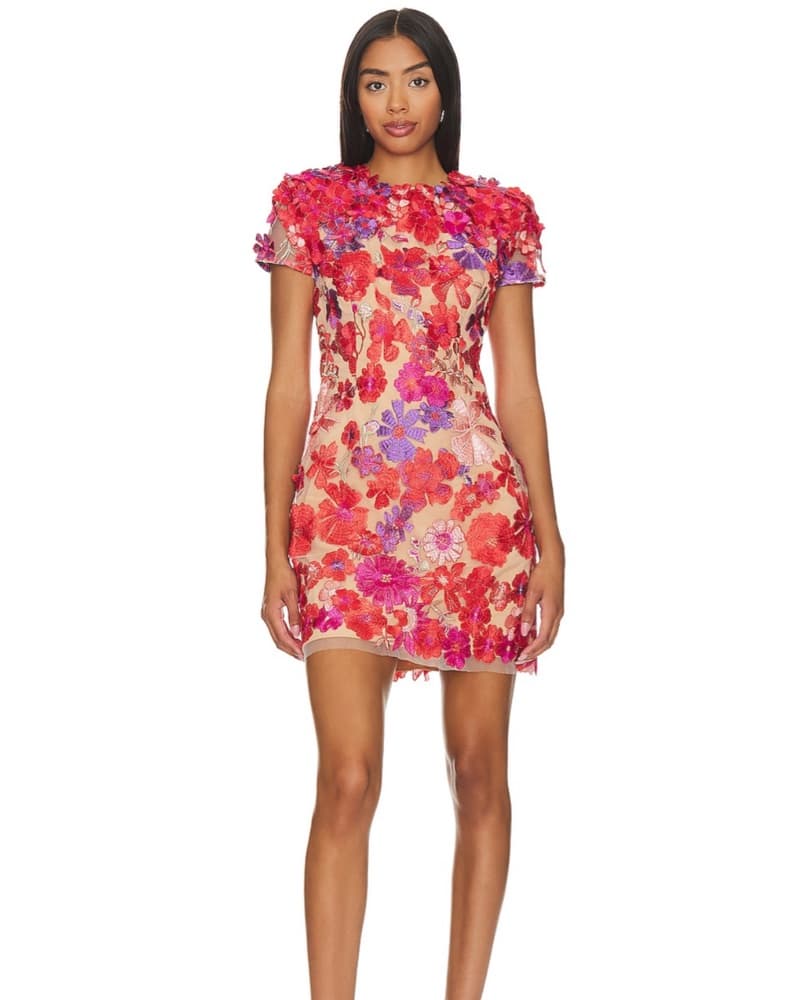 Elliat Red & Nude 3D Floral Dress - Image 1
