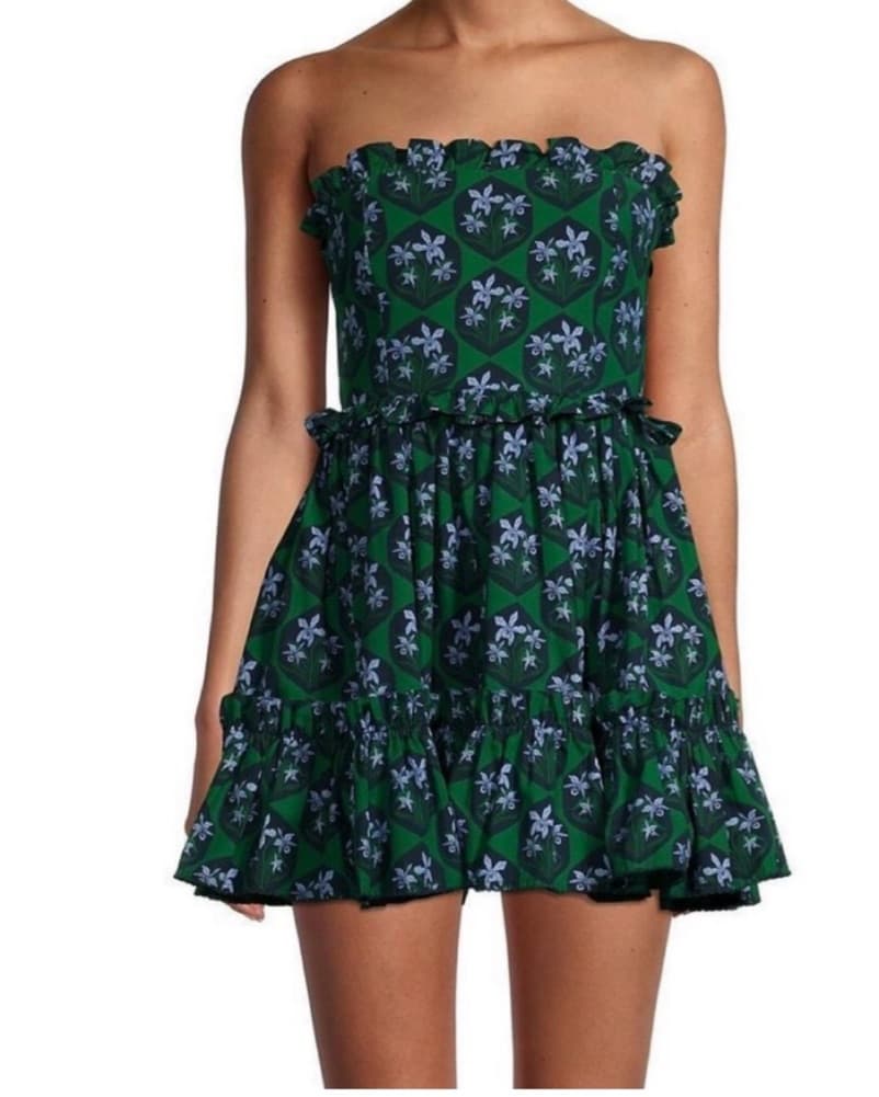 Agua Bendita Rosa Strapless Mini Dress - Image 1