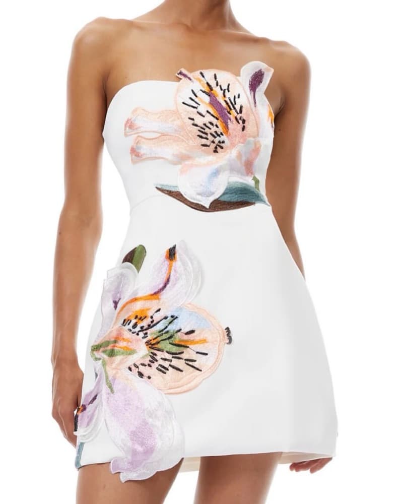 Rosario Applique Floral Bustier - Image 1