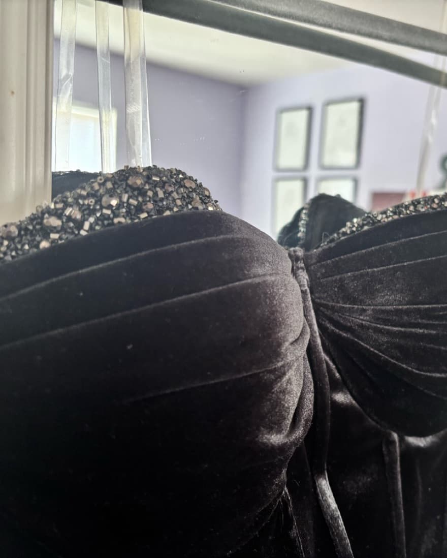 Passion Dress LA Corset Dress - Image 3