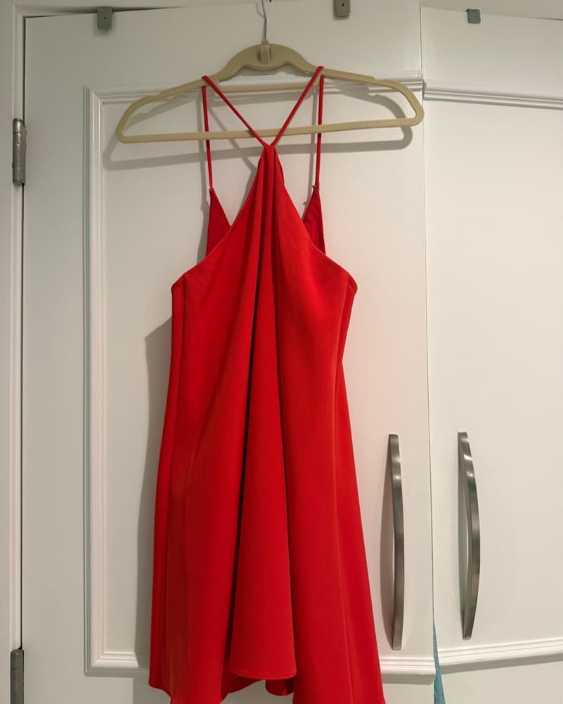 Vibrant Red Milly Dress - Image 2