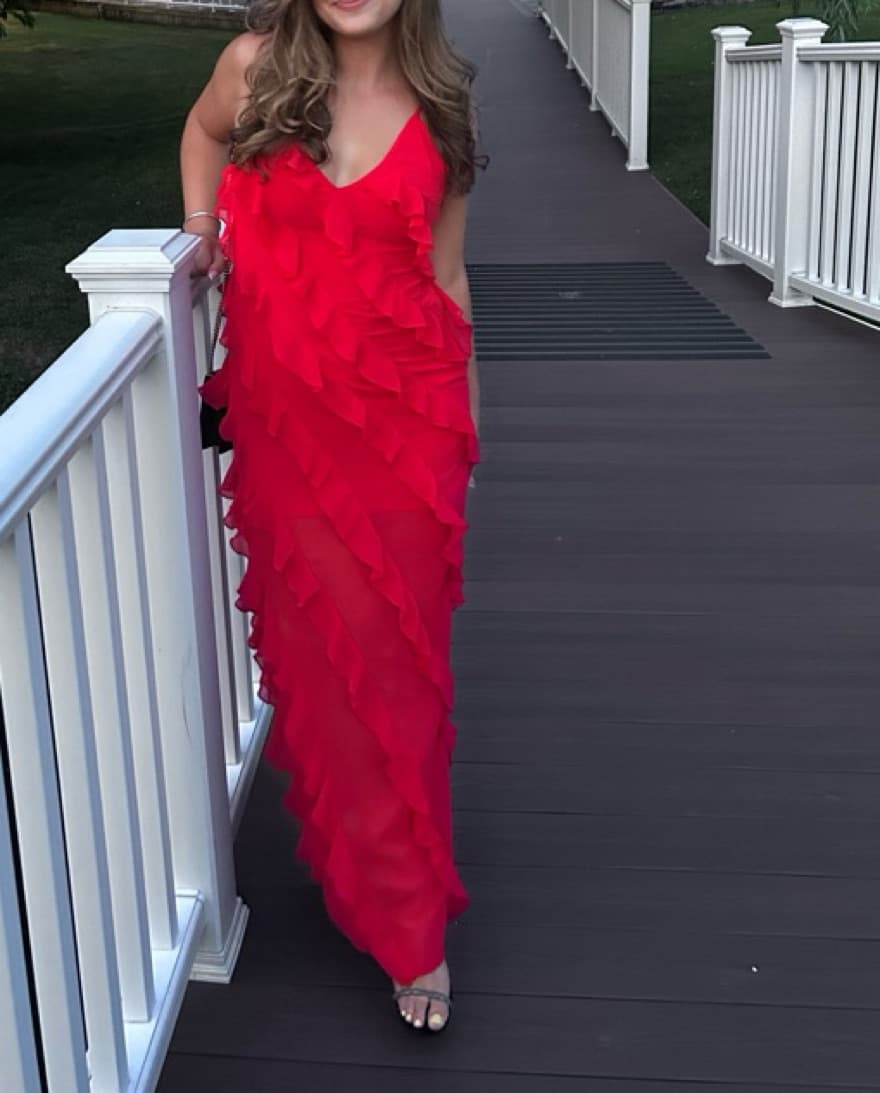 Rat and Boa Dupe Dress - Image 2