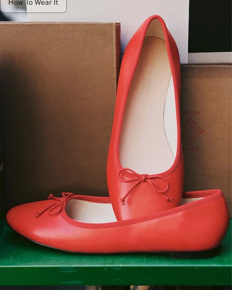 Andi ballet flats in leather - Image 1