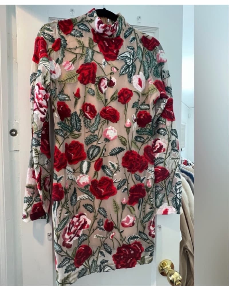 Floral Embroidered Mini Dress - Image 1