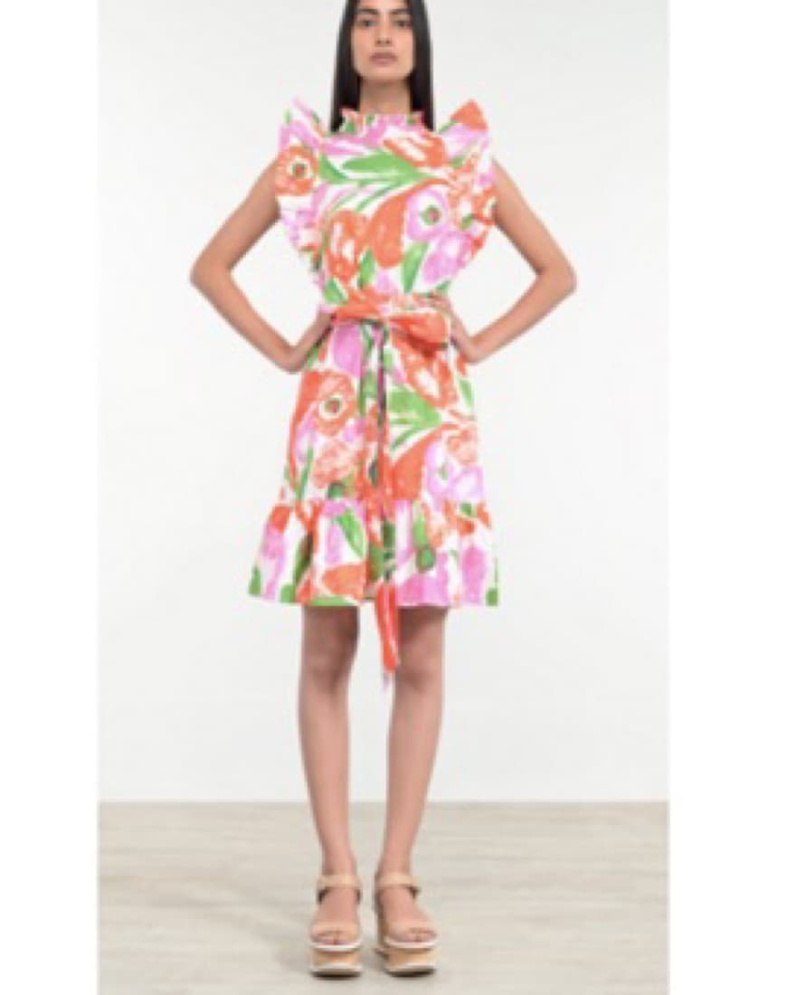 Banjanan Bulbul Dress - Image 3