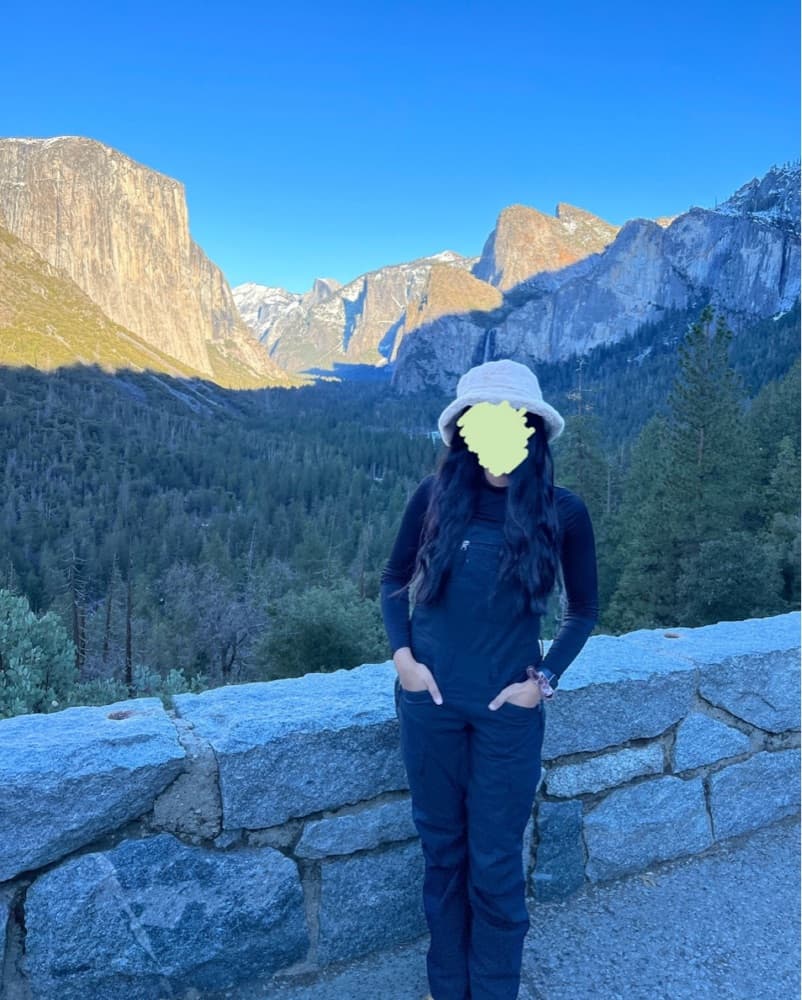 The North Face Ski Bib - Image 1