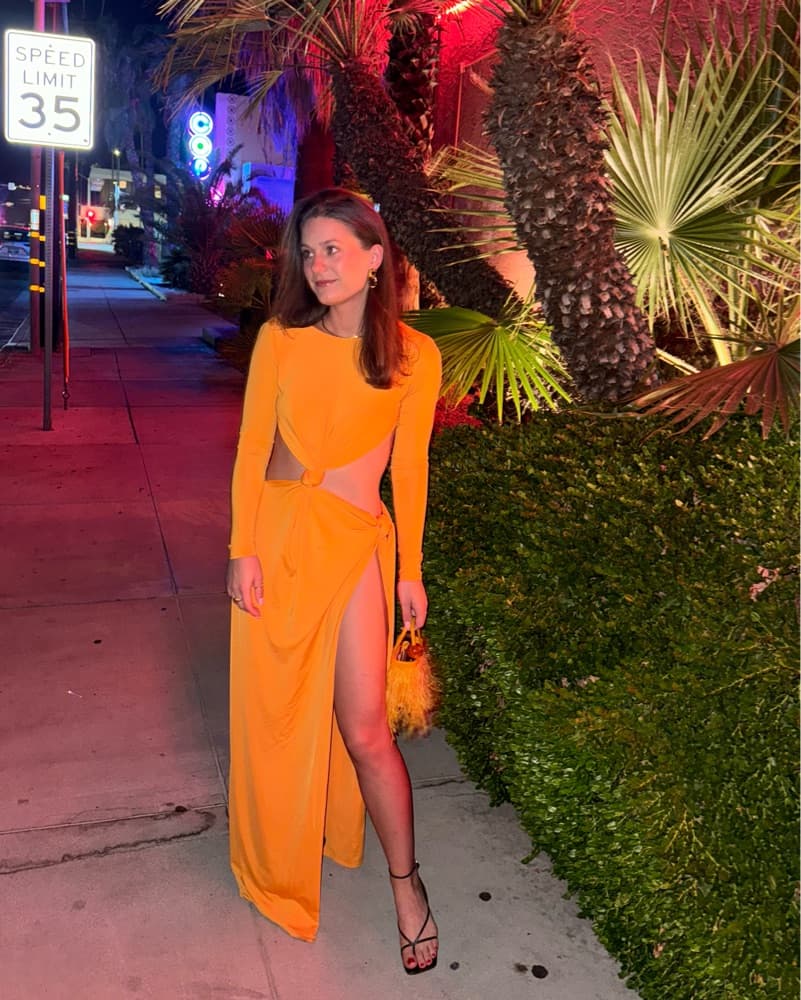 Meshki Backless Dress - Image 4