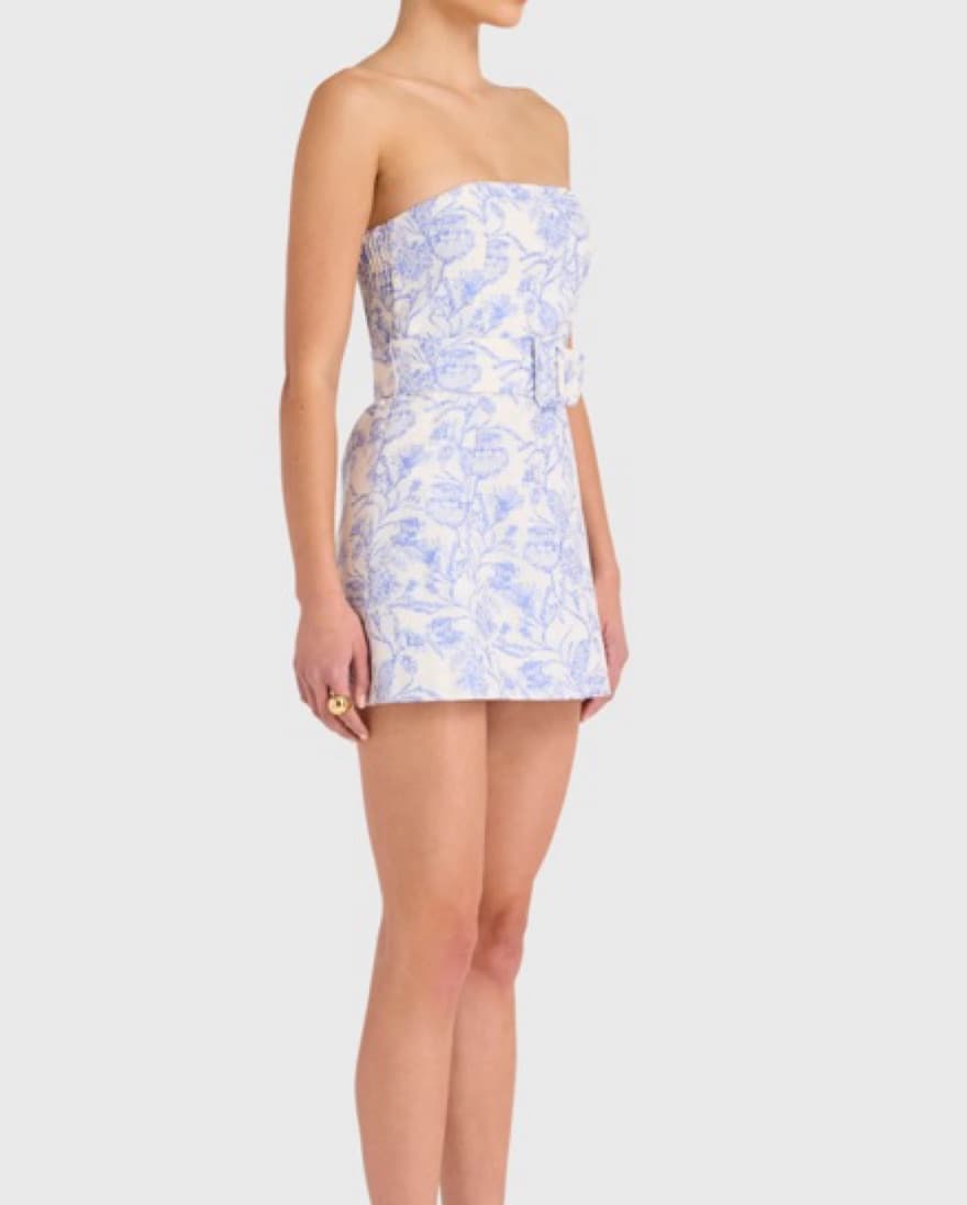 Amanda Uprichard Toile Strapless Mini - Image 3