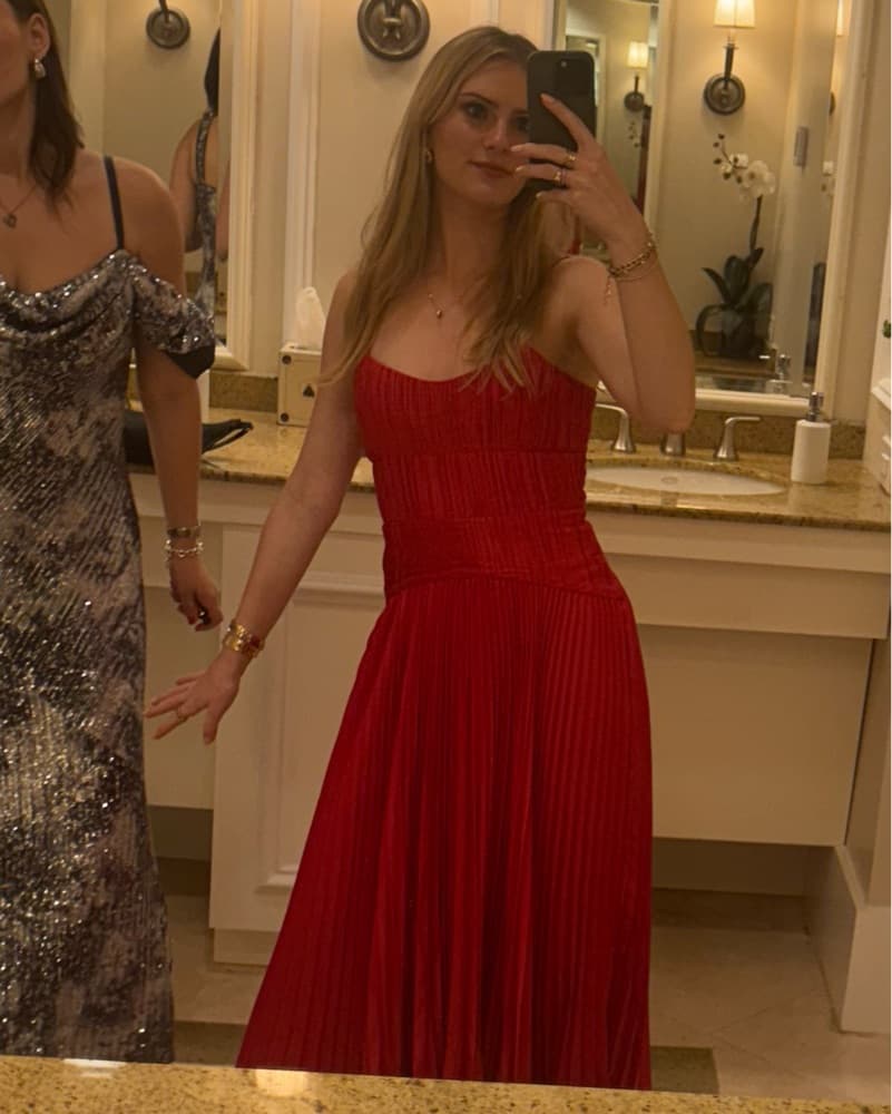 AMUR Cherry Drop Waist Midi - Image 3